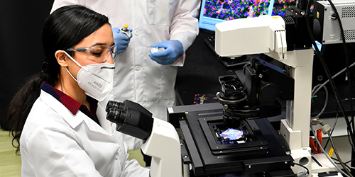 Nesrine Bouhrira, a fourth year Ph.D. student, looks through a microscope.
