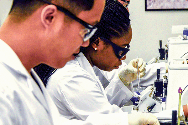 Rowan University students conducting research in lab.