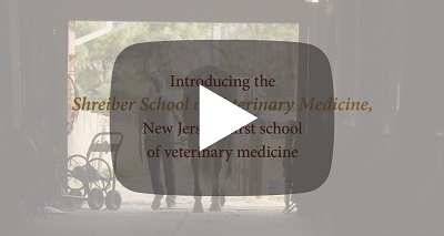 Vet School video