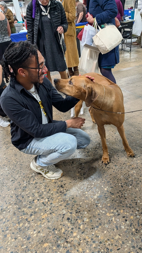 Shreiber Student meets competitor during National Dog Show