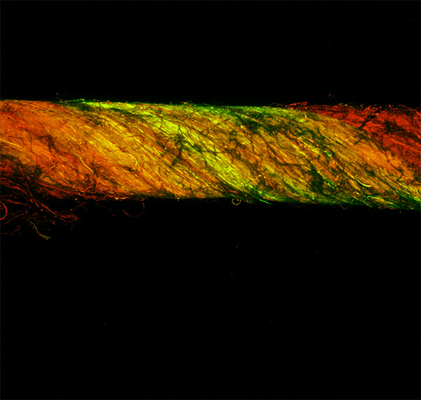 A microscopic view of a piece of nanofiber yarn is shown highlighted in red and green.
