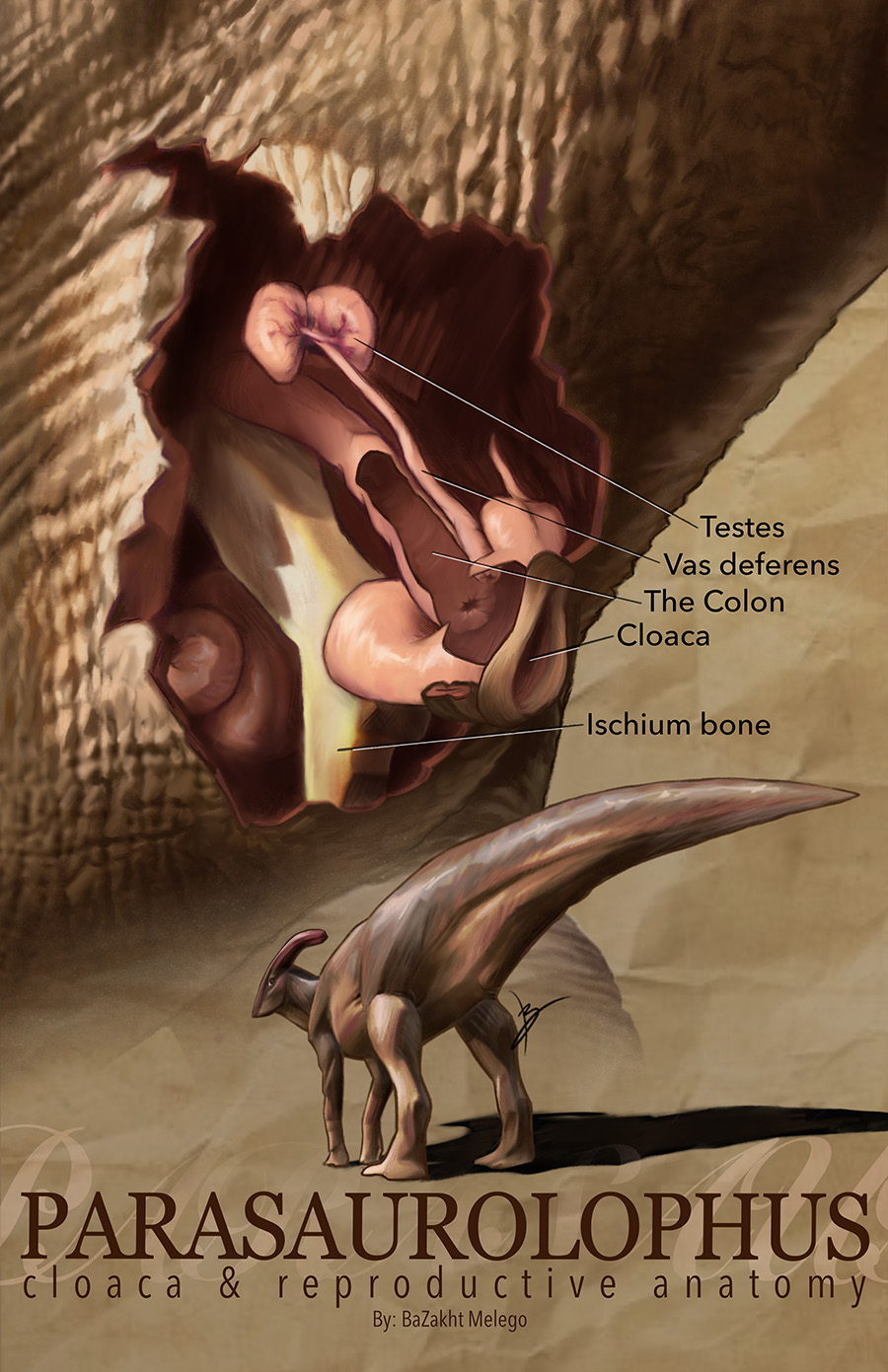 An anatomical illustration of a dinosaur and its reproductive organs is presented on a movie-like poster.