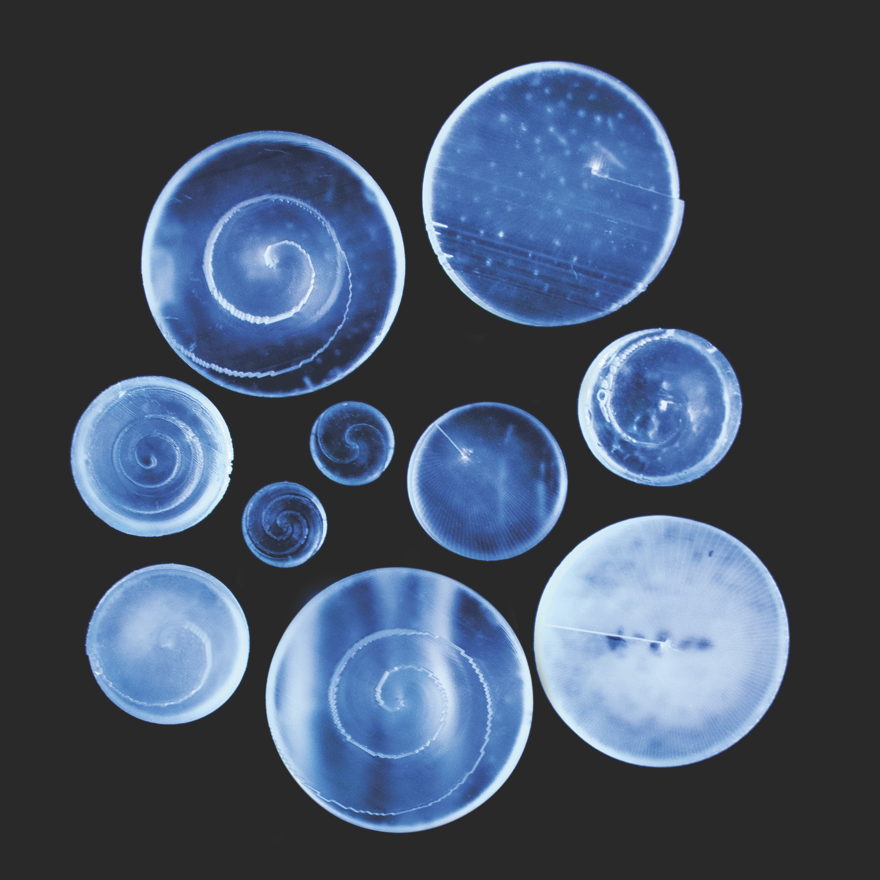 3D printed acoustic lenses in variety of sizes.