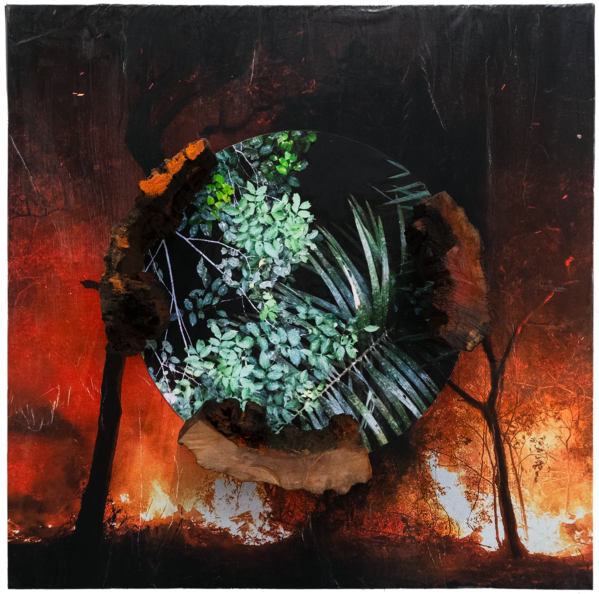 Diane Burko's Elegy Amazonas I
