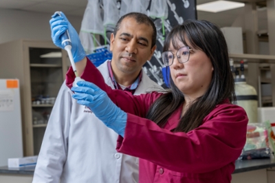 Student works in the laboratory with a faculty mentor.